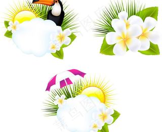 夏日绿草鲜花太阳小鸟图片