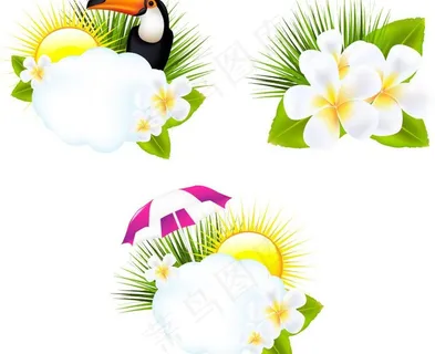 夏日绿草鲜花太阳小鸟图片 夏日绿草鲜花太阳小鸟图片