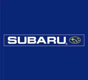 Subaru(12) logo设计...