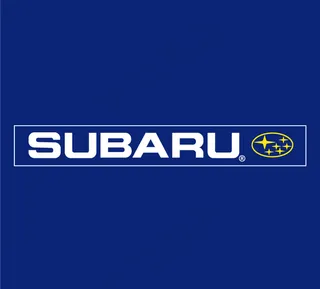 Subaru(12) logo设计...