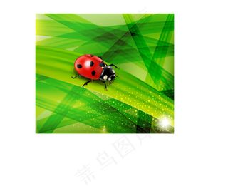 绿色自然背景瓢虫矢量素材
