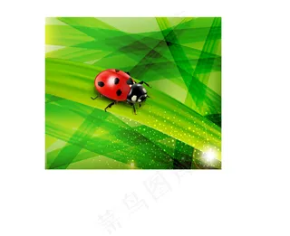 绿色自然背景瓢虫矢量素材