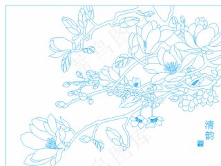 清韵 玉兰花开图片