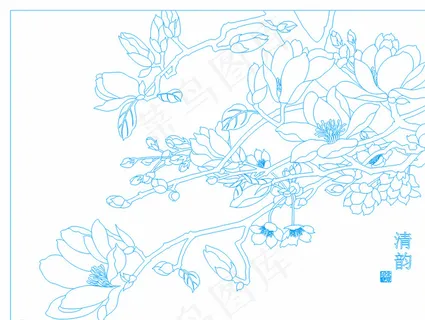 清韵 玉兰花开图片 清韵 玉兰花开图片