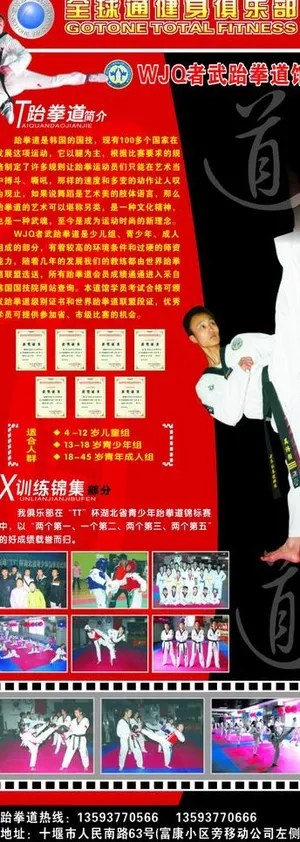 跆拳道易拉宝图片