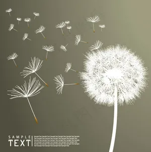 蒲公英矢量素材-3