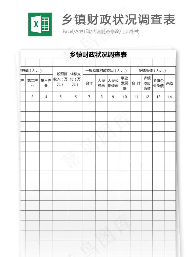 乡镇财政状况调查表格