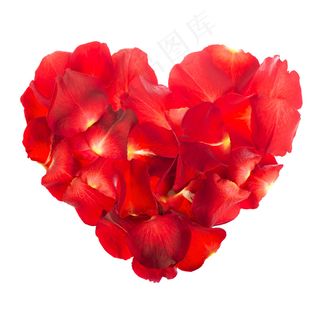 心形花瓣玫瑰花图片