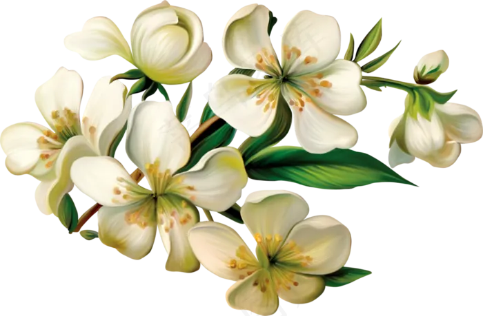 手绘逼真浅色小花png透明素材
