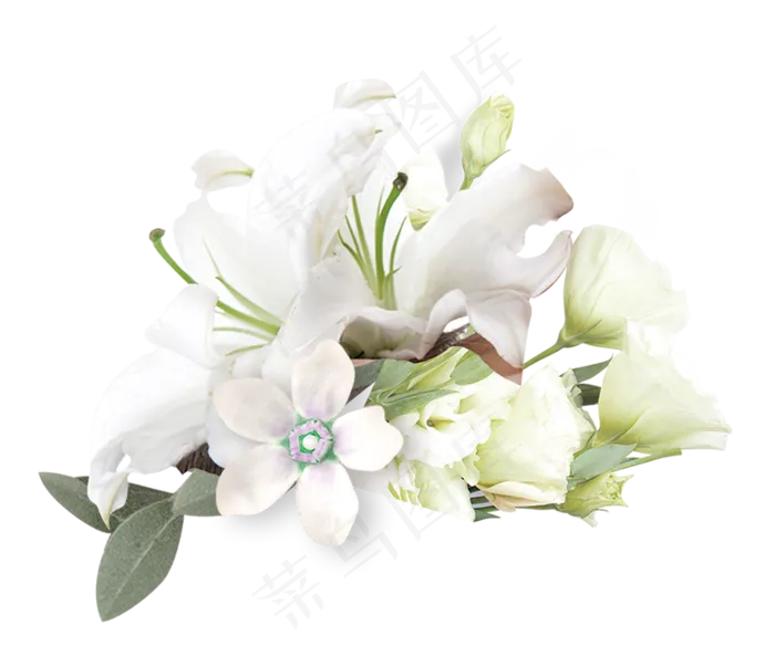 清新百合花朵装饰