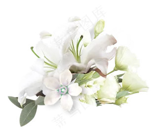清新百合花朵装饰