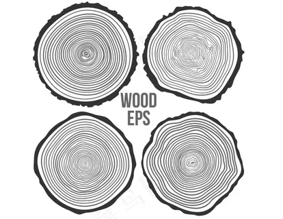 线稿年轮素材