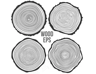 线稿年轮素材
