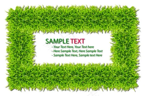 绿色草地背景04——高清图片