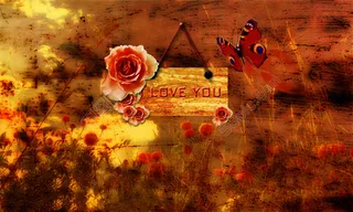 壁纸 花 蝴蝶 草