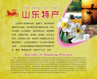 山东特产展板