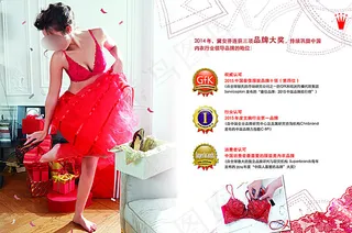 黛安芬15冬品牌大奖图片