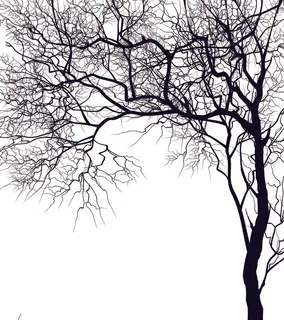 简约黑白发财树 简约黑白发财树