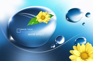 高清PSD分层素材花之情愫