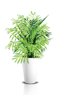 卡通盆栽素材可爱花盆PNG免扣图片...