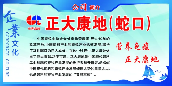 正大康地企业文化psd模版下载