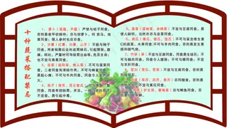 文化墙体广告 书形