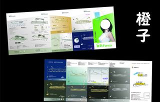 郁金香花晾衣架图片