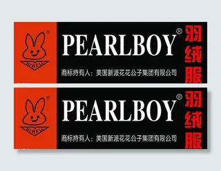 美国花花子羽绒服图片