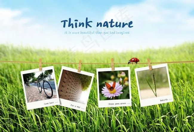 春天的风景图片(3800X2800(DPI:300))psd模版下载