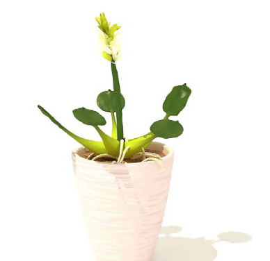 盆景植物3D模型、盆栽植物3D模型...