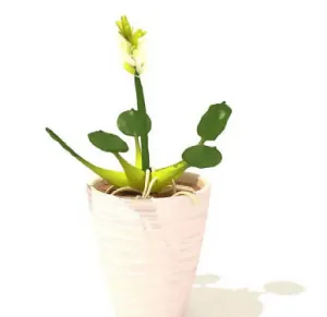 盆景植物3D模型、盆栽植物3D模型...