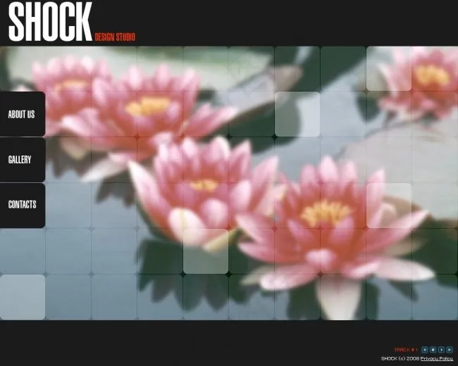 莲花背景网站psd模板psd模版下载