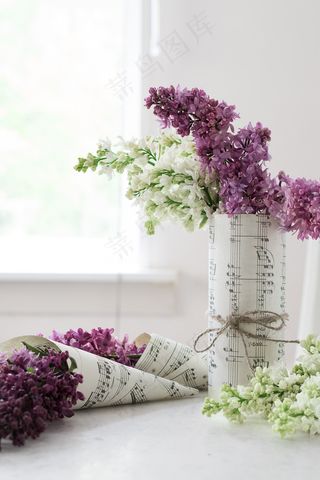 简约小清新文艺风插花静物摆拍背景