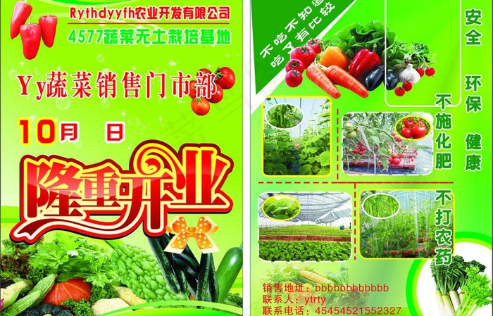 蔬菜宣传页图片cdr矢量模版下载