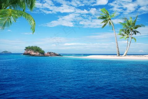 湛蓝海天椰树图片