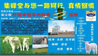 优利士羊奶粉