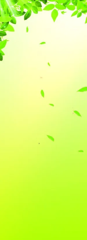 易拉宝模板图片 易拉宝模板图片