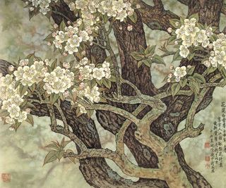 花开白雪香图片