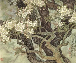 花开白雪香图片