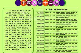 十二经络图片