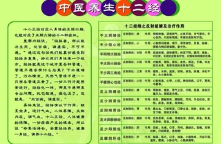 十二经络图片