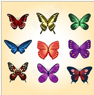 矢量蝴蝶图片