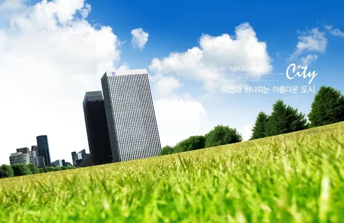 绿草地与建筑物