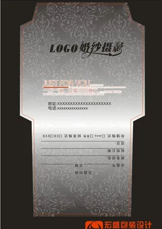 时尚光盘封套二十三