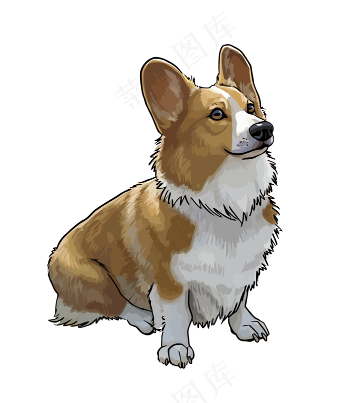 淘宝可爱柯基犬png免抠素材psd模版下载
