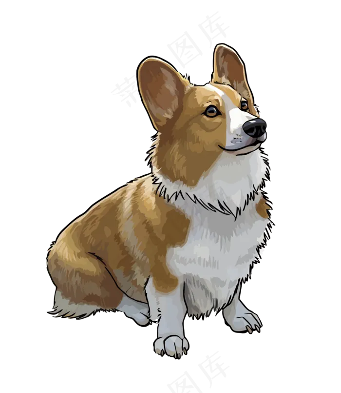 淘宝可爱柯基犬png免抠素材psd模版下载