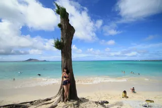 夏威夷白沙滩图片