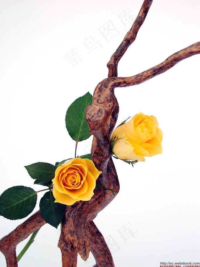 木psd模版下载