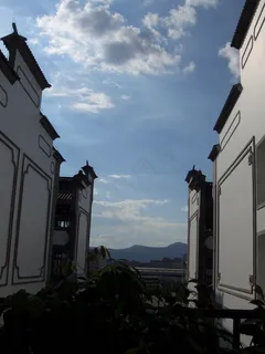 园博花鸟市场图片 园博花鸟市场图片