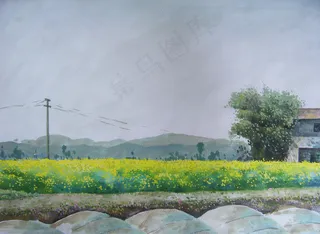 油菜花开时节图片